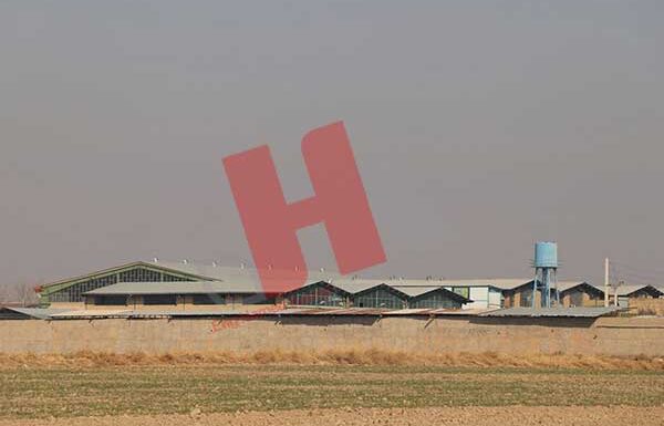 کارخانه و خط تولید شییدا گاز